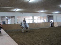 IMG_0631